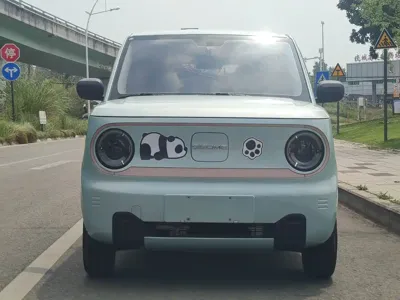 Galaxy Panda