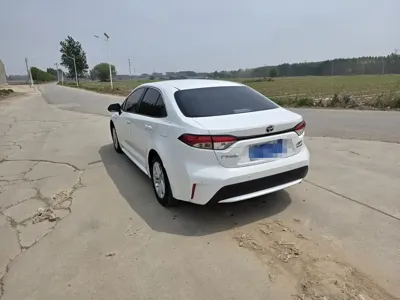 Toyota Levin