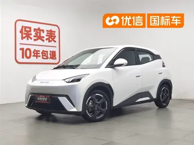 BYD Seagull