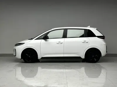 BYD D1