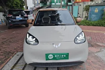 Wuling Bingo