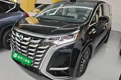 Denza D9