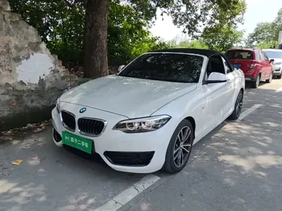 BMW 2 Series (Import)