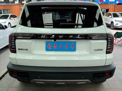Haval Big Dog