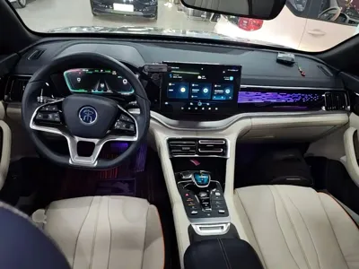 BYD PLUS New Energy