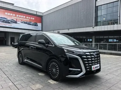Denza Denza D9