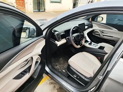 BYD Pro New Energy