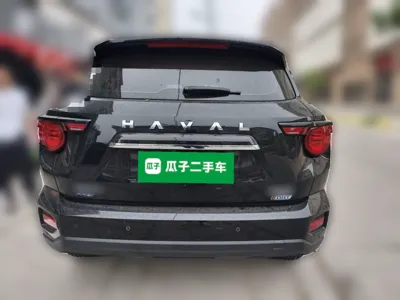 Haval H Dog New Energy
