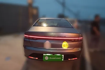 BYD Destroyer 05