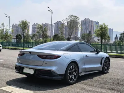 NETA Neta GT