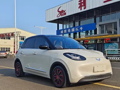 Wuling Bingo