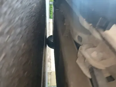 NETA Neta V