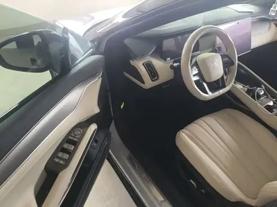 BYD L EV