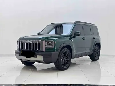 Haval 哈弗猛龙燃油