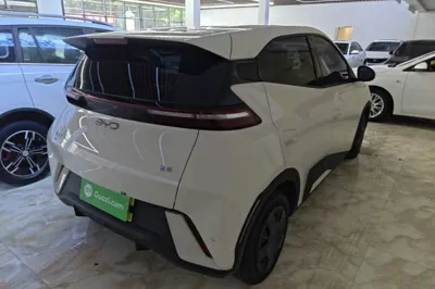BYD Seagull