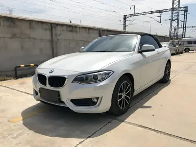 BMW 2 Series (Import)