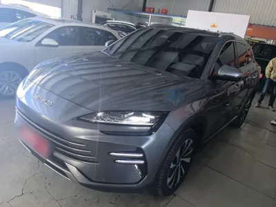BYD Song PLUS New Energy