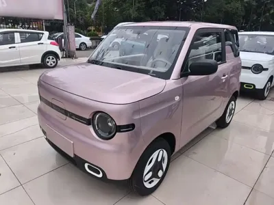 Galaxy Panda