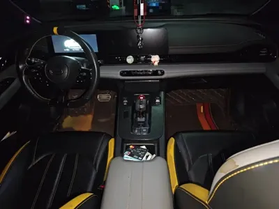 GAC Motor Shadow Leopard