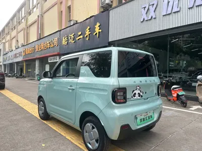 Galaxy Panda