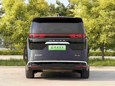 Denza Denza D9