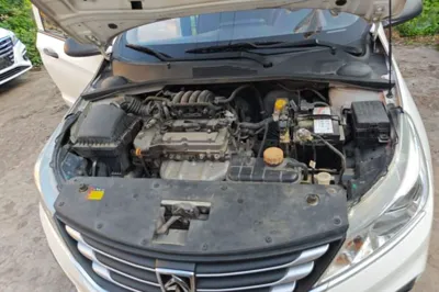 Baojun 310
