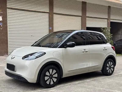 Wuling Bingo