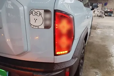 Haval X DOG