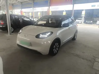 Wuling Bingo