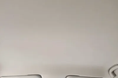 NETA V