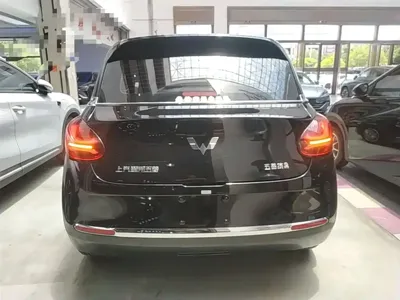 Wuling Bingo