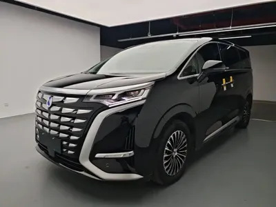 Denza Denza D9