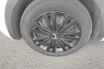 Wuling Bingo