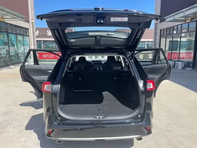 Toyota Wildlander New Energy