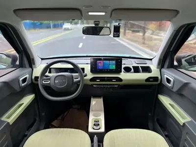 Galaxy Panda
