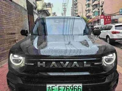 Haval 哈弗大狗 PLUS 新能源