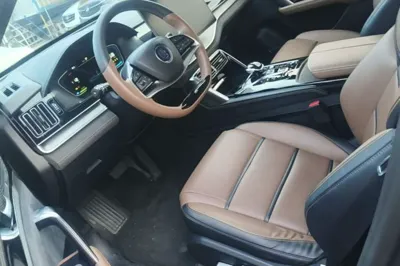 BYD Tang New Energy