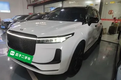 Li Auto ONE