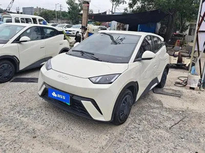 BYD Seagull