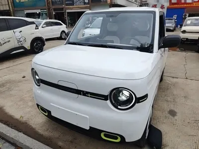 Galaxy Panda