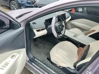 Arcfox 极狐T1