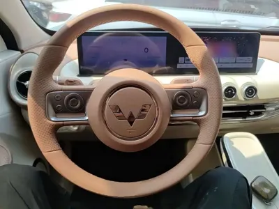 Wuling Bingo