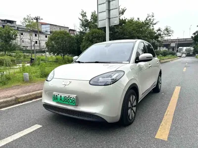 Wuling Bingo