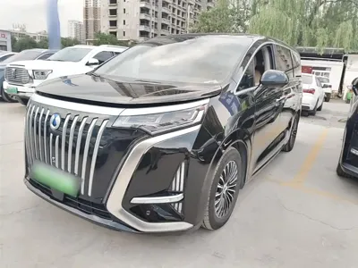Denza Denza D9