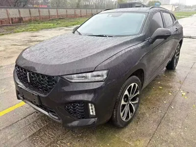 WEY Wey VV7