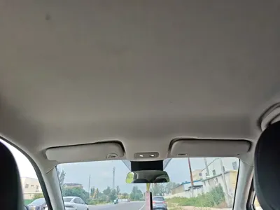 NETA Neta V