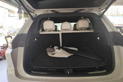 Li Auto L6