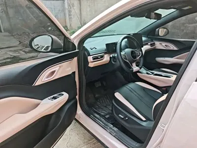 BYD Seagull