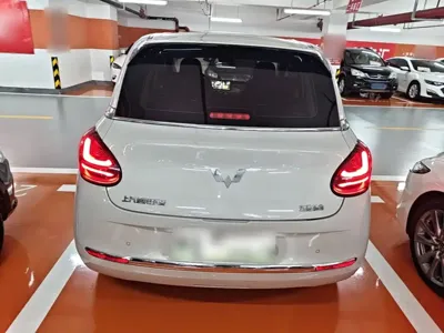 Wuling Bingo