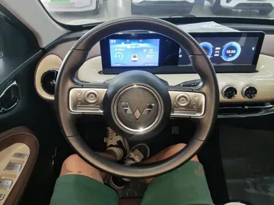 Wuling Bingo